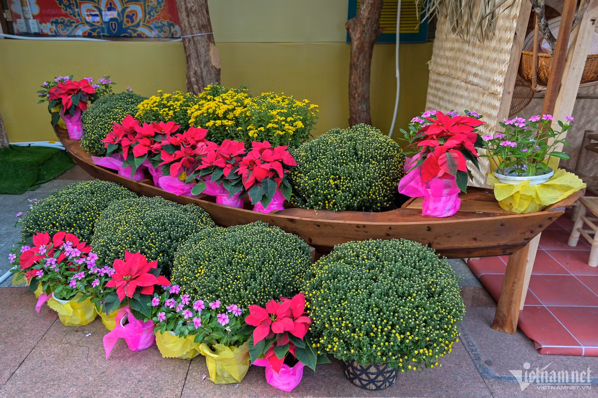 Đặc biệt, chiếc ghe chở hoa tươi là nét đặc trưng của miền Tây mỗi mùa xuân về bên cạnh tiểu cảnh nhà tranh.