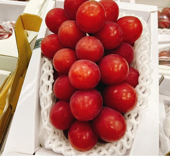 Một cửa hàng trái cây nhập khẩu chạy chương trình khuyến mãi bán giá 9 triệu đồng/chùm nho Ruby Roman trọng lượng 0,8kg/chùm. Ảnh: Vietfruits