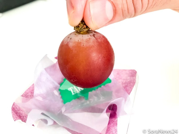 Trước khi tung ra thị trường, mỗi quả nho đều được kiểm tra nghiêm ngặt để đảm bảo chất lượng với các con dấu chứng nhận được đóng dấu trên những quả được chọn. Mỗi quả nho phải trên 20g và hơn 18% đường. Ảnh: Engo