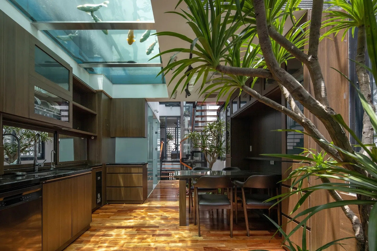 Bể cá tại tầng 5 nằm ngay trên khu bếp của tầng 4 giúp cải thiện cảnh quan cho toàn bộ phòng bếp, phòng khách tầng 4 và cả sân vườn trên tầng 5. Ảnh: Hoàng Lê - Kiến Trúc NDT