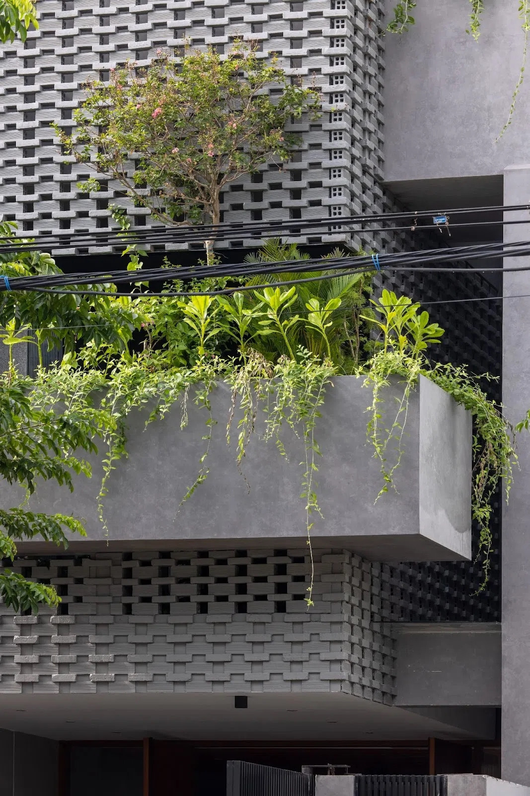 Ở bên ngoài, lớp vỏ nhiệt đới được tạo nên từ việc sắp xếp các viên gạch đất nung so le nhau tạo ra những khoảng trống, mật độ này đạt trên 50% là rỗng.