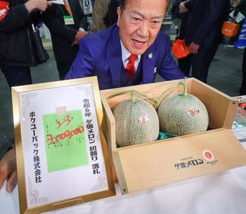 Ông Noda Kiyomichi, Chủ tịch công ty cho biết, dưa năm nay có hương vị đặc biệt đậm đà và ông rất vui khi mua được cặp dưa này. Ảnh: Nippon