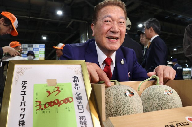 Yubari là một giống dưa lưới quý hiếm, thường được mua làm quà tặng sang trọng tại Nhật Bản. Ảnh: Japantimes