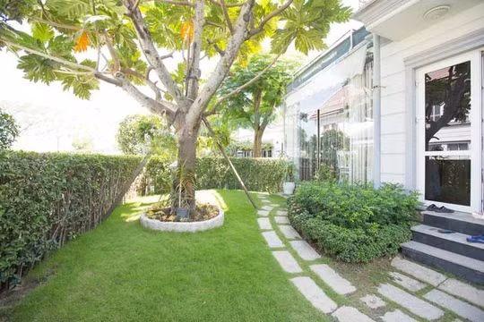 Ngôi nhà được bao phủ bởi sắc xanh của cỏ cây, hoa lá.