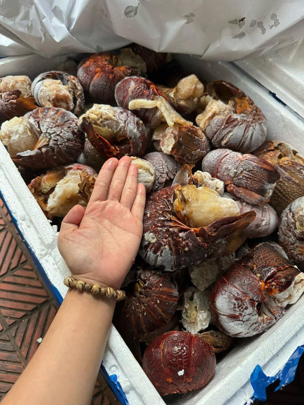 Giá tôm hùm Úc đang bơi rất đắt nên đuôi tôm hùm Úc đông lạnh giá rẻ đang bán trên thị trường có thể là hàng sắp hết hạn sử dụng, hoặc hàng bị lỗi. Ảnh: Facebook