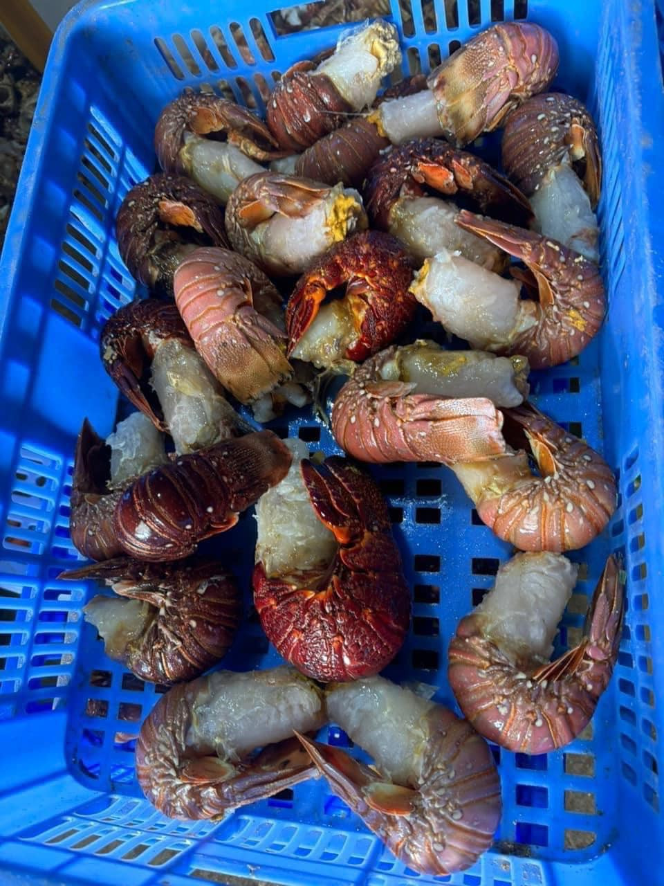 Chị Giang (Cầu Giấy, Hà Nội) đã ăn thử đuôi tôm hùm Úc giá rẻ cho biết, loại đuôi tôm to, thịt khá chắc đanh, nhưng đuôi tôm nhỏ thì phần thịt khá bở. Ảnh: Facebook