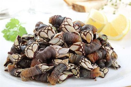 Trên thị trường, hà ngỗng có giá khoảng 150 Euro/kg (tương đương hơn 3,8 triệu đồng/kg). Tại các nhà hàng ở châu Âu, mỗi đĩa hà ngỗng có giá khoảng 100 Euro (khoảng hơn 2,5 triệu đồng). Ảnh: Getty