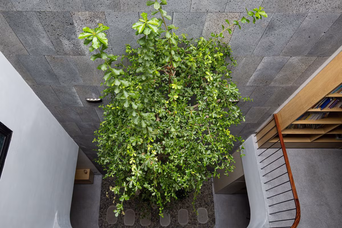 Bên cạnh đó, giếng trời ở giữa kết nối không gian chung với không gian sống phía trên.