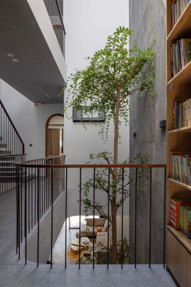 Các không gian bên trong có tầm nhìn thoáng đãng và được tô điểm bằng cây xanh.
