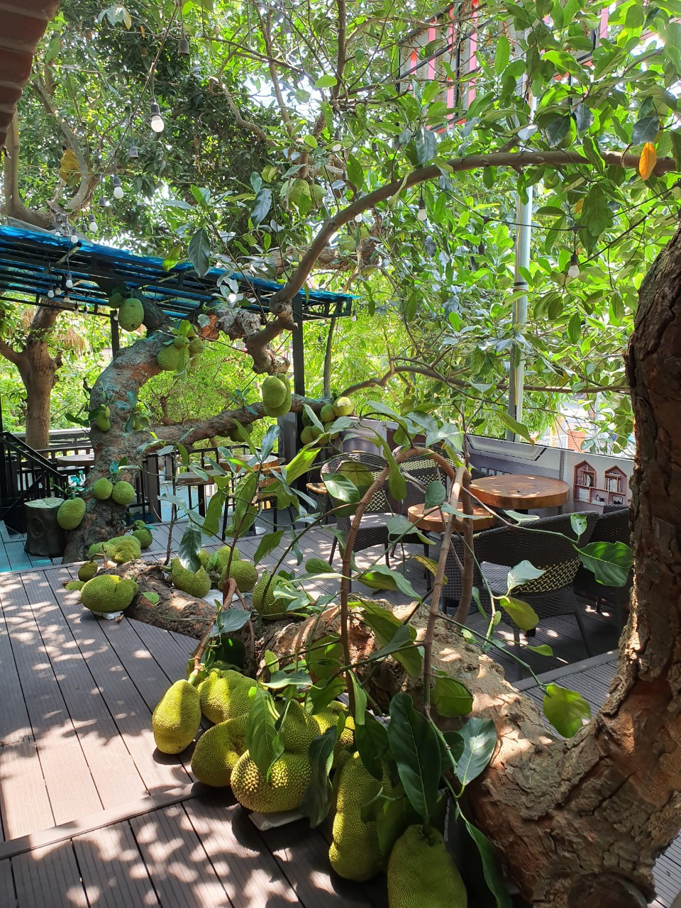 Quán có thể đón hơn 100 khách/lượt nhưng nhiều thời điểm, khách quá tải, quán phải xin lỗi khách. Ảnh: Vietnamnet