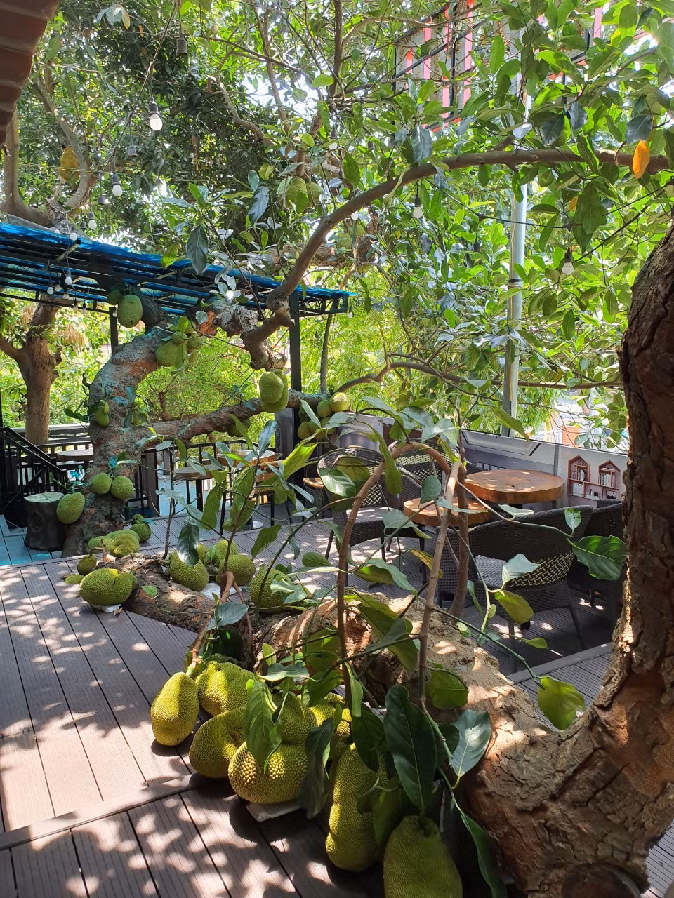 Quán có thể đón hơn 100 khách/lượt nhưng nhiều thời điểm, khách quá tải, quán phải xin lỗi khách. Ảnh: Vietnamnet