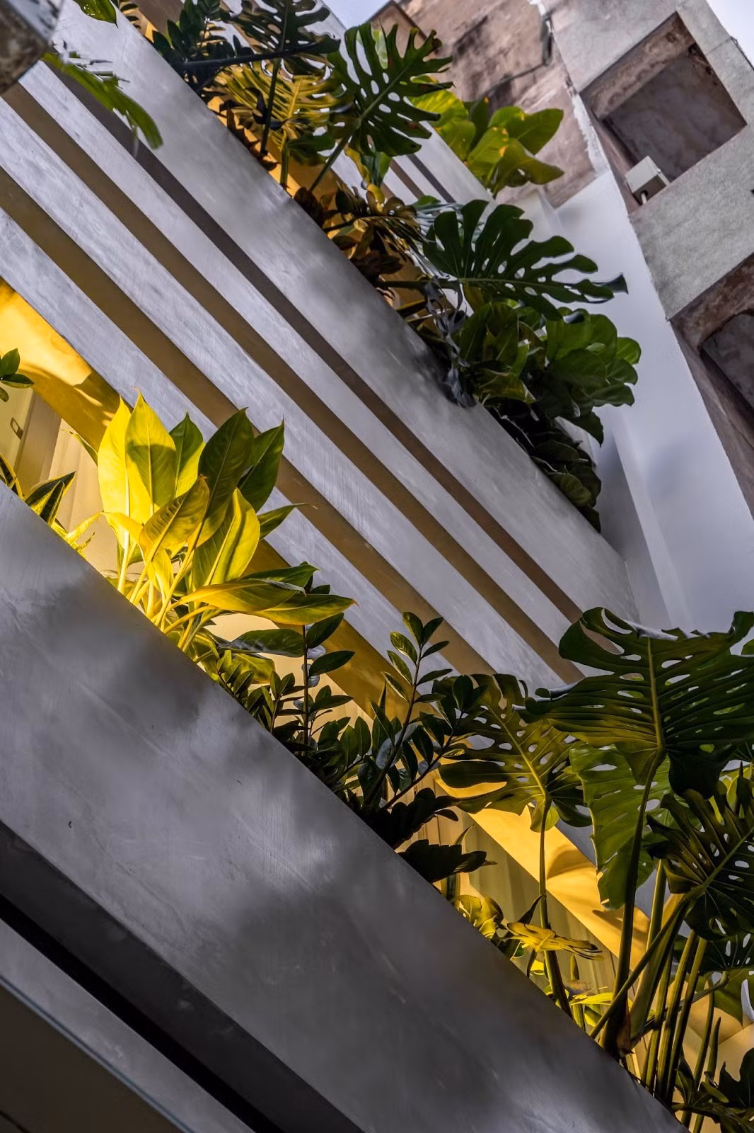 Cây xanh giống như bộ lọc tự nhiên giúp chắn nắng, cản bụi và giảm tiếng ồn cho không gian bên trong.