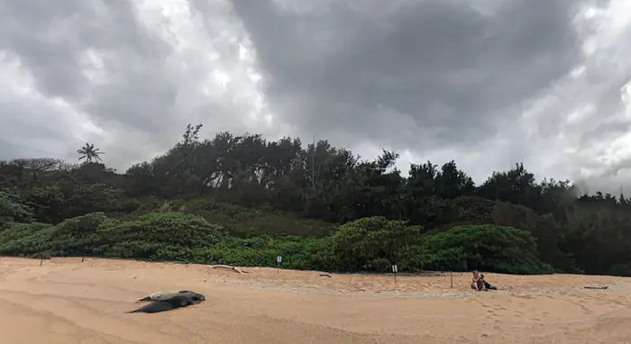 Bất động sản của Zuckerberg ở Hawaii có giá trị ước tính hơn 41 triệu USD, nhưng Zuckerberg đã trả nhiều tiền hơn để mua và xây dựng trên mảnh đất đó. Ảnh: BI