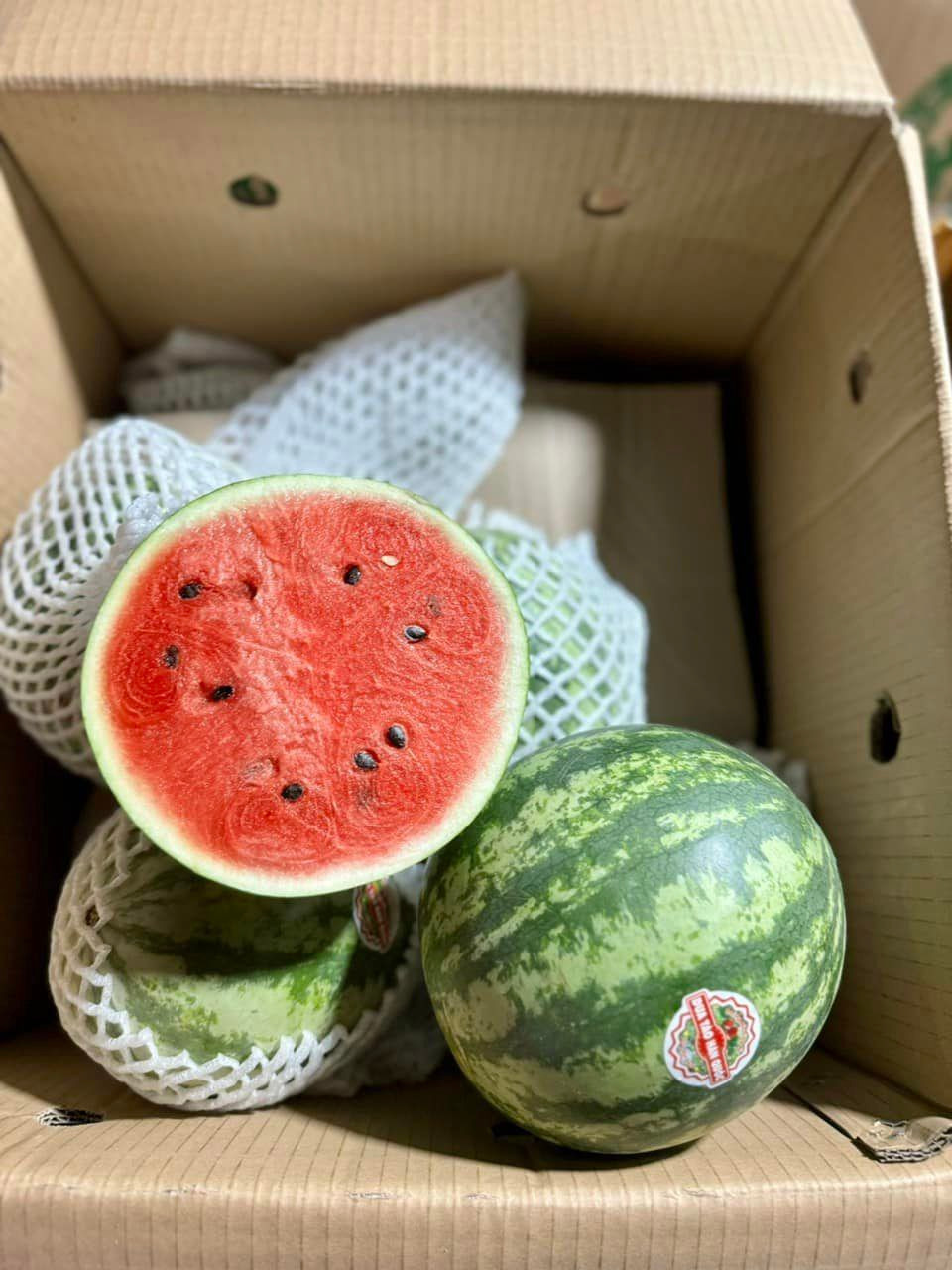 Thấy trên chợ trong khu chung cư bán quả dưa hấu nhỏ xíu, lại có tem nhãn, mã vạch đàng hoàng, chị Nga (Hà Đông, Hà Nội) mua 2 quả về ăn thử.