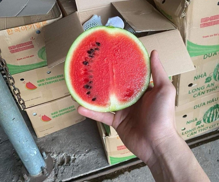 Theo cô Hoa, đây là giống dưa Hàn Quốc trồng nhà kính tại Long An. Quả nhỏ nhưng vỏ mỏng, ruột đỏ.