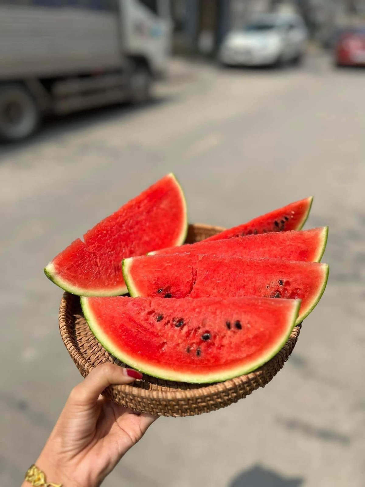 Năm trước, dưa hấu táo Hàn Quốc trồng tại Việt Nam giá từ 35.000 - 50.000 đồng/kg, năm nay thì giá chỉ bằng một nửa.