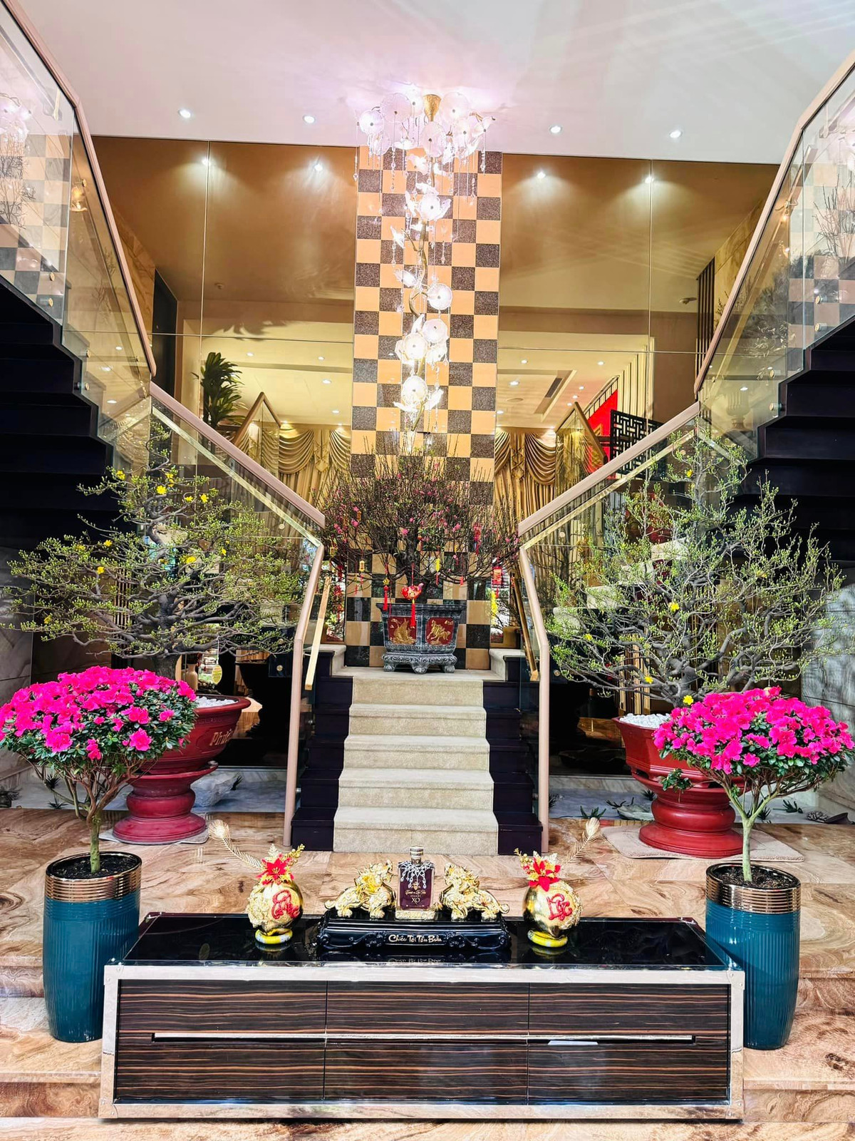 Hai cây đỗ quyên Pháp được bạn bè gửi từ Đà Lạt về tặng nam ca sĩ.