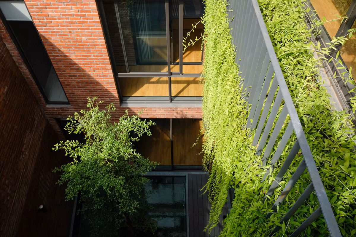 Tuy nhiên, các kiến trúc sư nhận thấy hầu hết những căn nhà ở đây đều cố gắng xây dựng hết diện tích cho phép và ít tiếp xúc với thiên nhiên. Vì lý do này, kiến trúc sư muốn xây một ngôi nhà ở khu đô thị có thể tiếp xúc với thiên nhiên, cây xanh và ánh sáng tự nhiên.