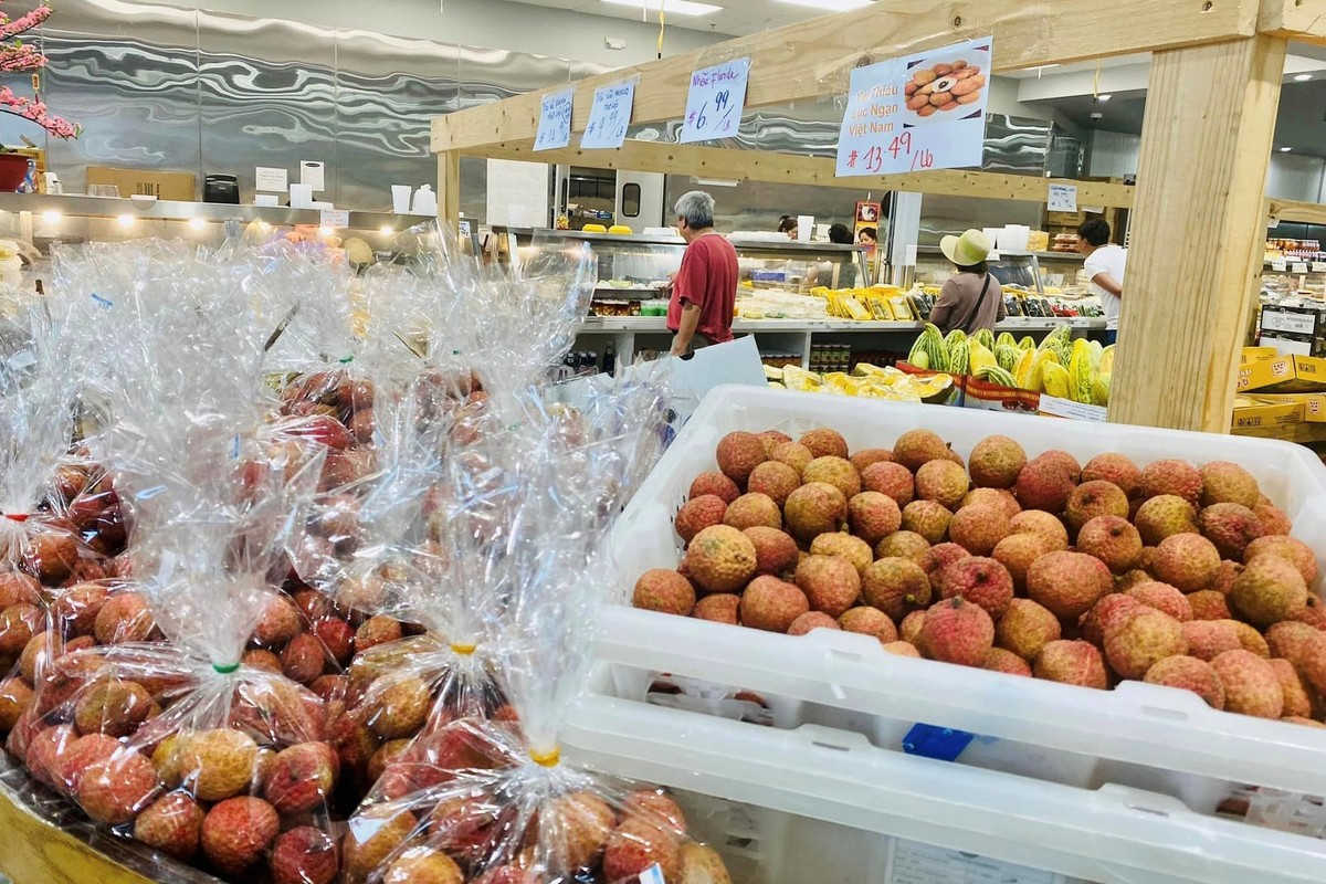 Ngày 20/6/2023 lô vải thiều tươi đầu vụ của tỉnh Bắc Giang qua đường hàng không đã đến Houston (Mỹ). Ngay sau đó, vải thiều tươi Việt Nam được bán đồng loạt tại nhiều siêu thị và chợ châu Á lớn nhất ở Houston, Texas. Ảnh: Công ty LNS