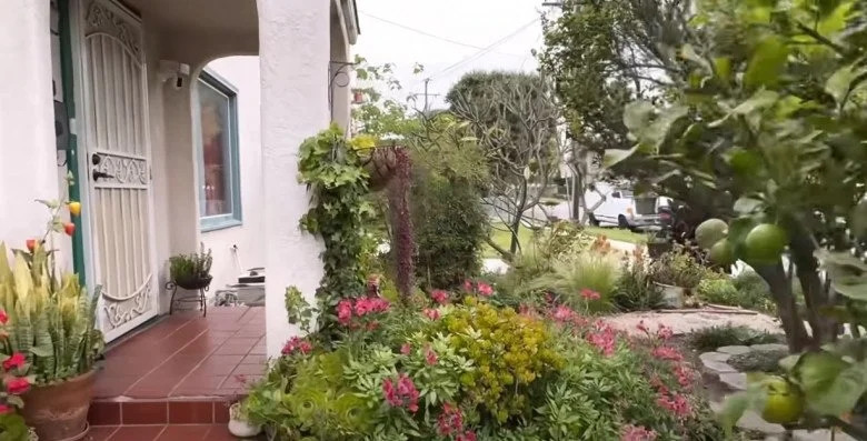 Bên ngoài biệt thự của Thúy Nga trồng nhiều hoa và cây ăn trái. Nguồn ảnh: FBNV, chụp màn hình