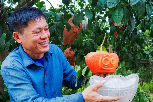 Nhờ tạo hình kỳ công, bưởi đỏ tiến vua có giá 250.000 đồng/1 quả. Ảnh: Người lao động