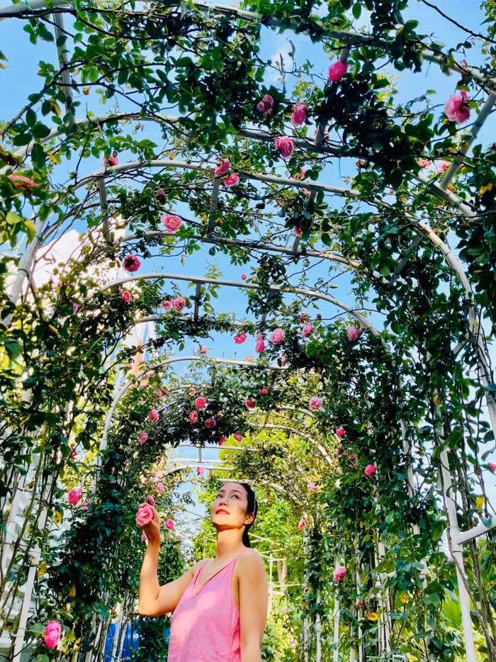 Dù quá trình chăm sóc hoa vất vả, Ốc Thanh Vân vẫn hạnh phúc khi thấy được thành quả.