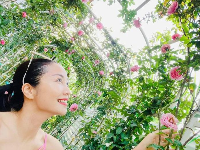 Vườn hồng của Ốc Thanh Vân bao gồm những loại giống đắt đỏ.