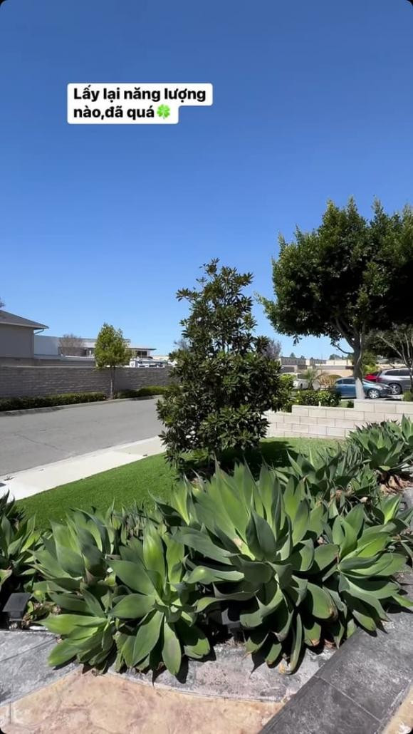 "Nữ hoàng phòng trà" trồng nhiều cây để tạo không gian xanh và mát cho căn nhà.