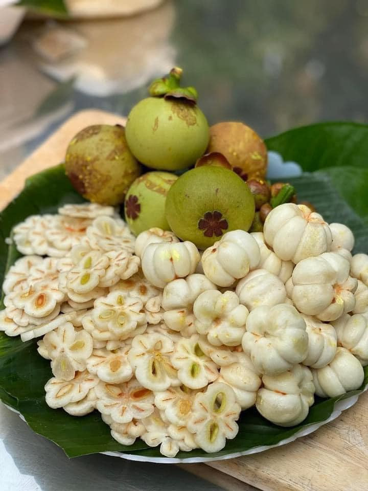 Năm ngoái, măng cụt xanh bất ngờ trở thành trái cây được nhiều khách hàng săn lùng nhờ trào lưu làm món gỏi gà măng cụt. Theo đó, giá bán măng cụt xanh đã gọt vỏ lên tới 450.000-500.000 đồng/kg.