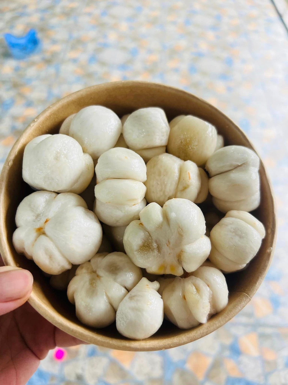 Măng cụt xanh gọt vỏ giá cao hơn nhiều loại nguyên quả là bởi phải gọt 5 cân măng cụt xanh mới được khoảng 1 cân ruột măng cụt.