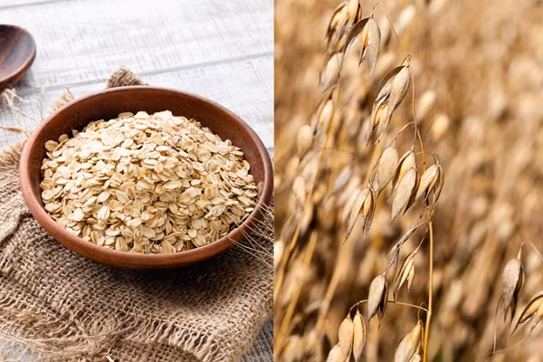 Yen mach that gia lan lon