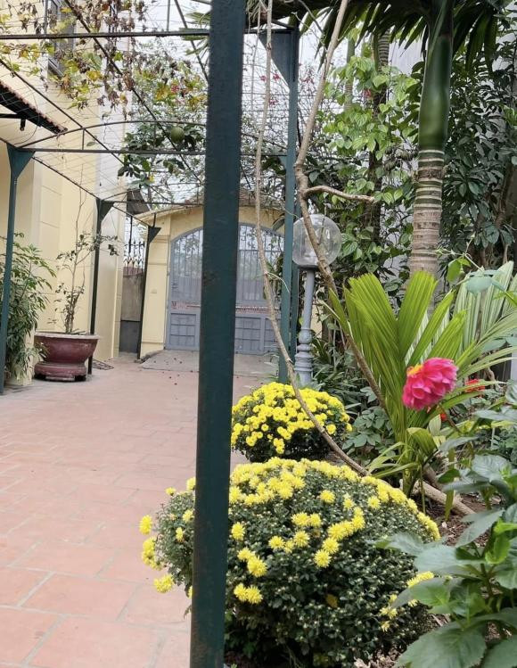 Điểm nhấn trong nhà là khu vườn nhỏ trồng nhiều cây xanh.