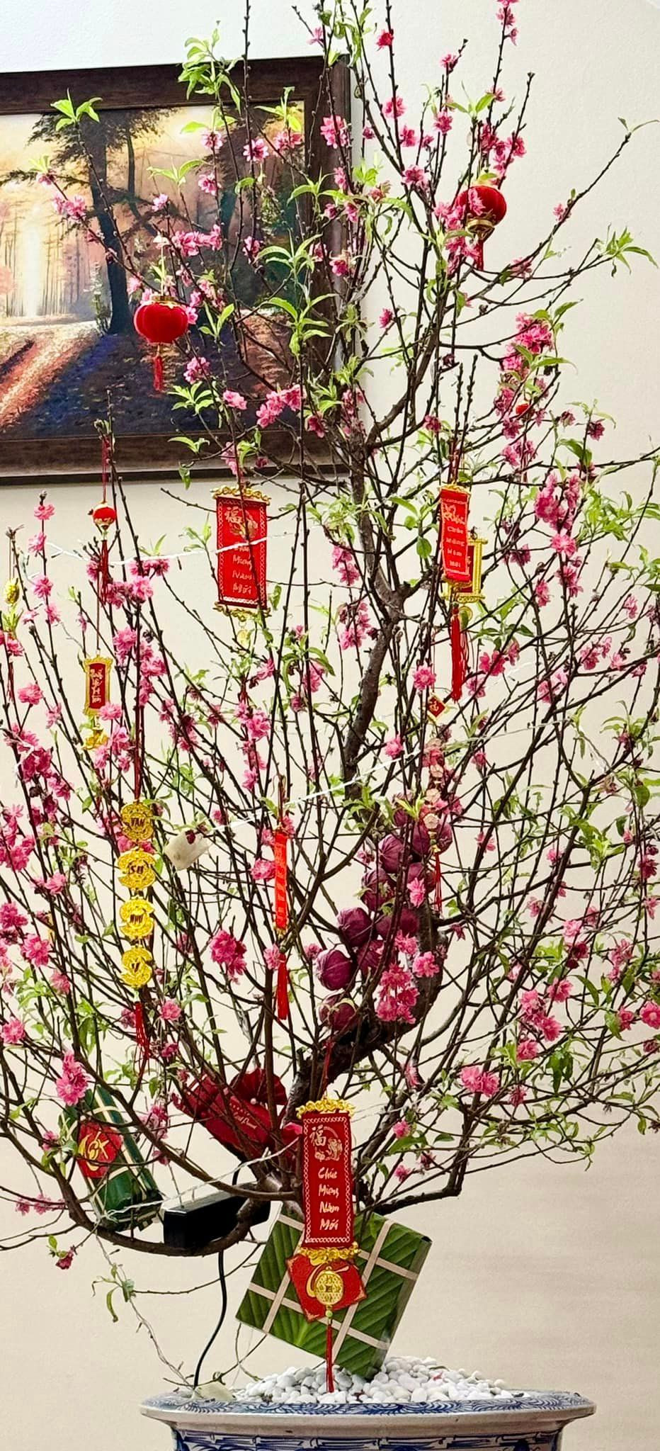 Cây đào được nữ nghệ sĩ trang trí đậm không khí ngày Tết.