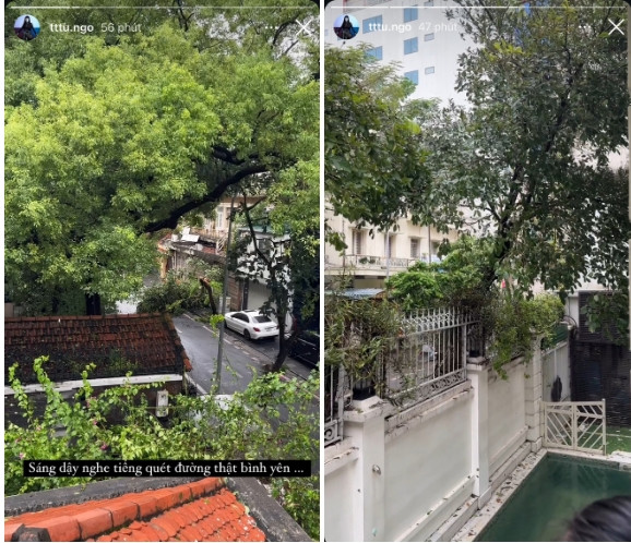 Khung cảnh lộn xộn, ngổn ngang cây cối trong khu vực biệt thự của Thanh Thanh Tú. Ảnh: FBNV