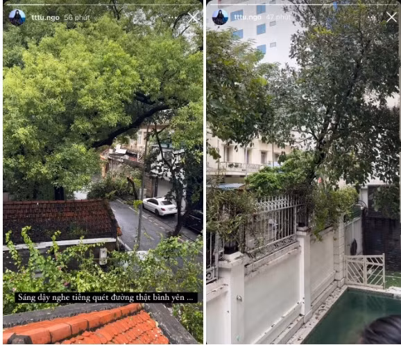 Khung cảnh lộn xộn, ngổn ngang cây cối trong khu vực biệt thự của Thanh Thanh Tú. Ảnh: FBNV