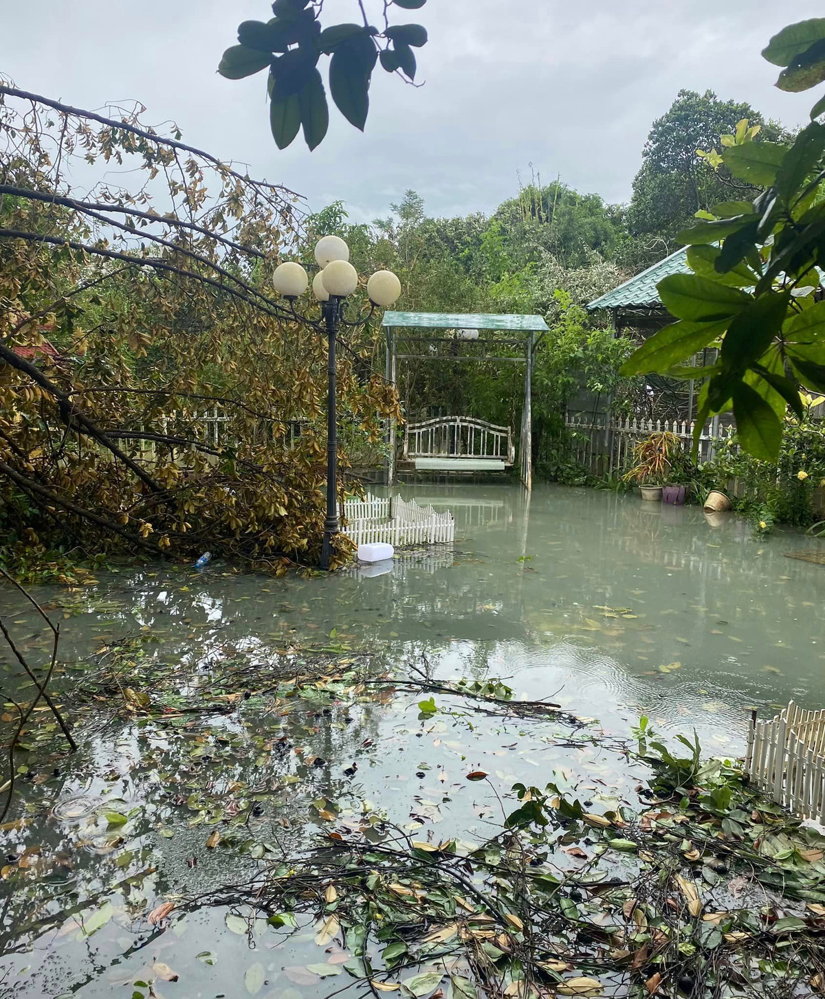 Khu vườn ngập nước. Ảnh: FBNV
