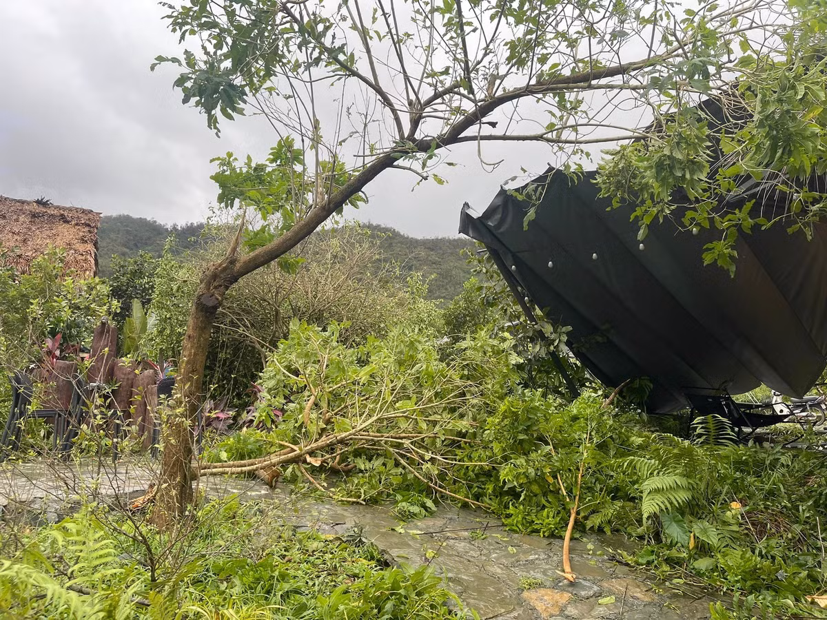 Nhà vườn của ca sĩ Việt Hoàn ở ngoại thành Hà Nội hoang tàn sau bão, "cây trái và cảnh quan nát bươm". Ảnh: FBNV