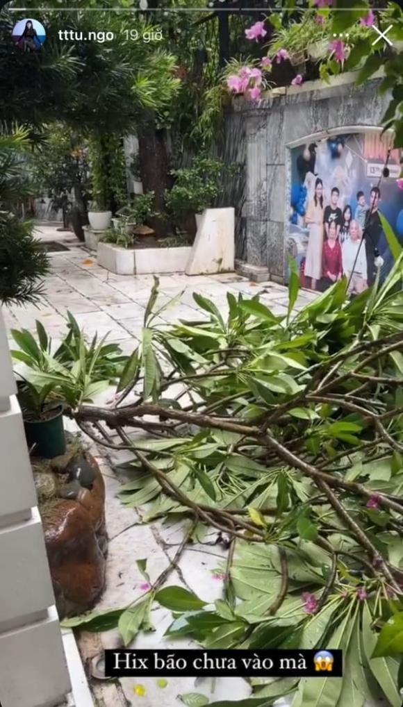 Á hậu Ngô Thanh Thanh Tú và chồng đại gia sống trong một căn biệt thự trắng bề thế tại Hà Nội. Theo đó, cây cối trong vườn nhà đổ ngã rất nhiều. Ảnh: FBNV