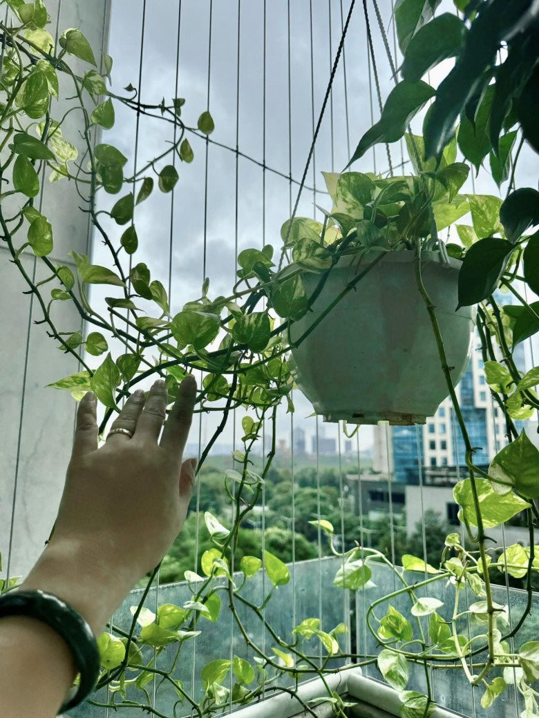 Bà xã NSND Tự Long khoe nhiều hình ảnh hoa lá trên ban công.