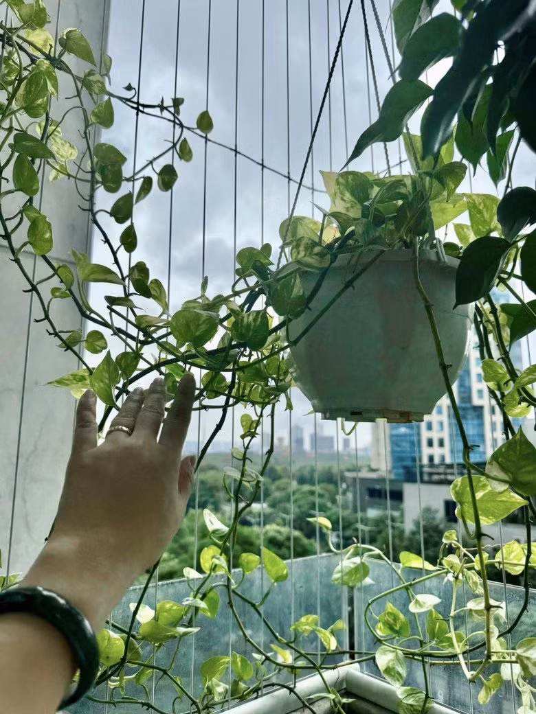 Bà xã NSND Tự Long khoe nhiều hình ảnh hoa lá trên ban công.