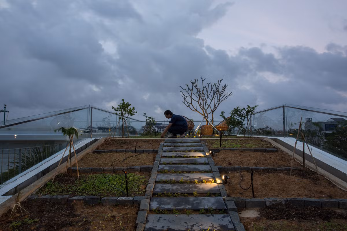 Trên sân thượng có một sân chơi nhỏ và vườn thảo mộc cung cấp đủ rau xanh cho gia đình mỗi ngày. Ảnh: 85 Design