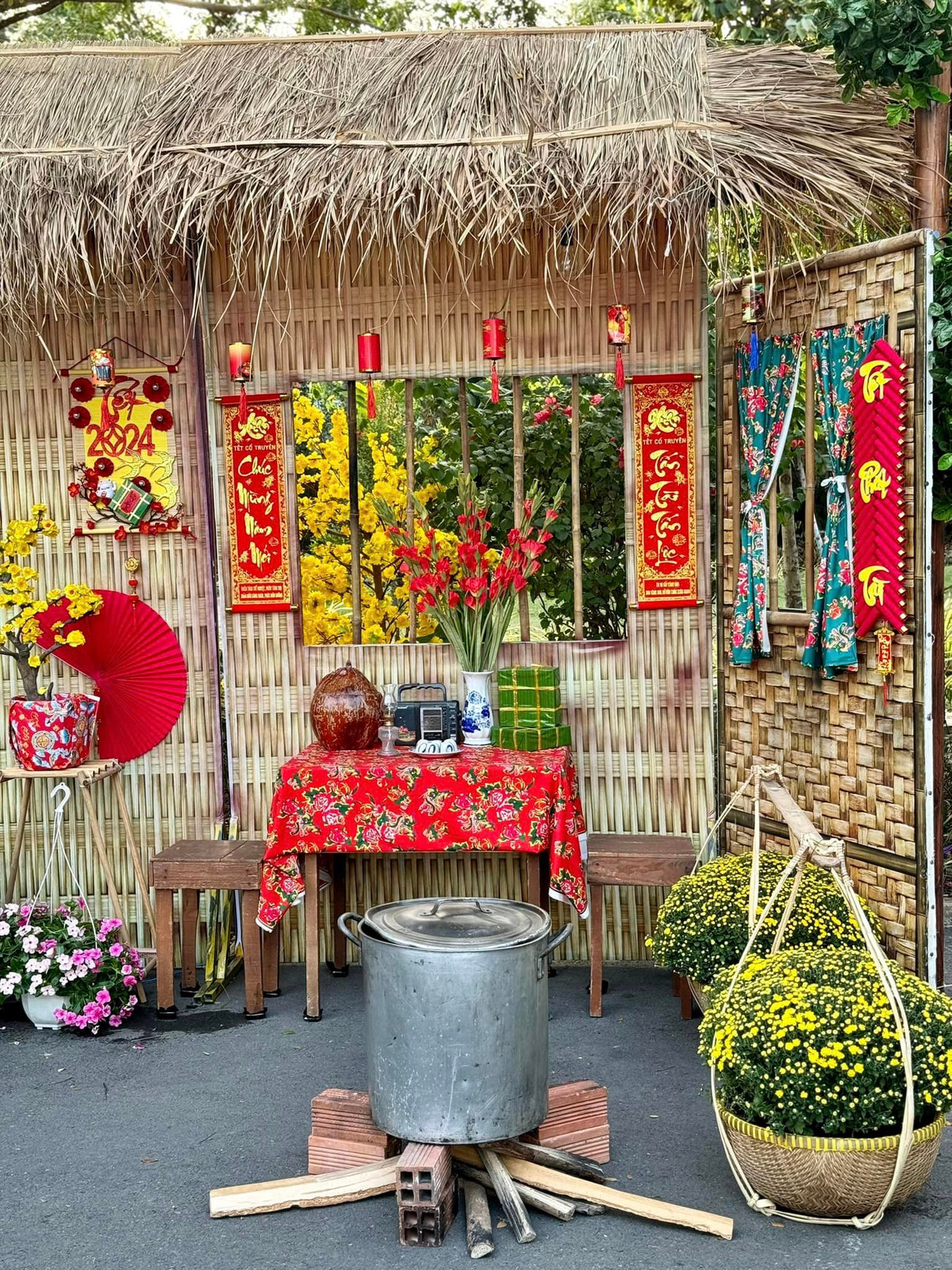 Hoa mai và cúc mâm xôi vàng nở rộ cho không khí Tết thêm rộn ràng.