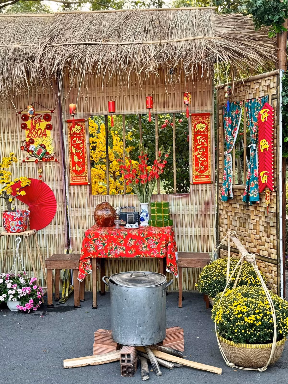 Hoa mai và cúc mâm xôi vàng nở rộ cho không khí Tết thêm rộn ràng.