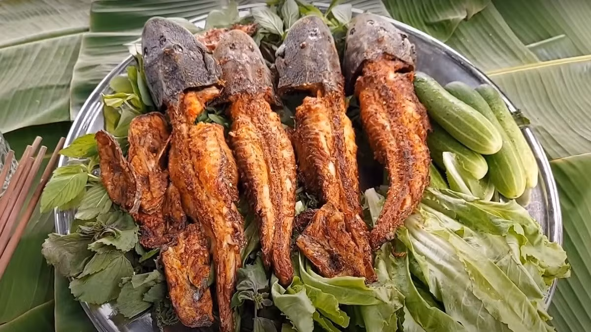 Tại chợ quê, cá lau kiếng tươi giá rất rẻ, chỉ từ 20.000 đồng/kg. Nhưng trên chợ online hoặc trên mạng xã hội, cá lau kiếng có thời điểm bán 100.000 đồng/kg. Ảnh: Internet