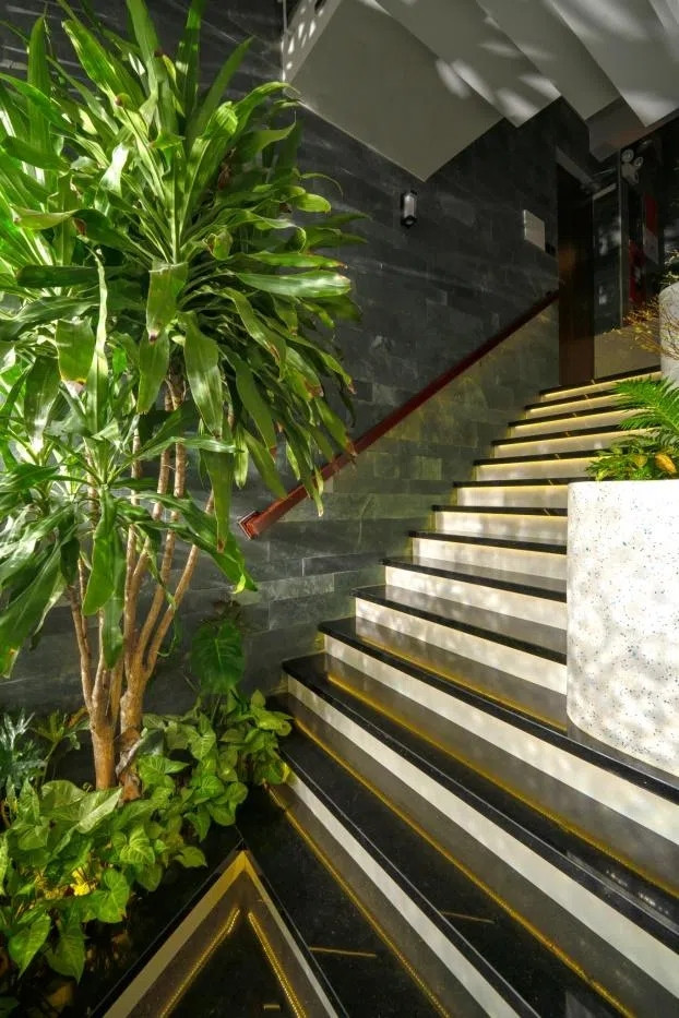 Qua đó, ngôi nhà tiếp cận được thiên nhiên theo trục đứng và tạo cho không gian trở nên mềm mại hơn. Ảnh: GreenConcept