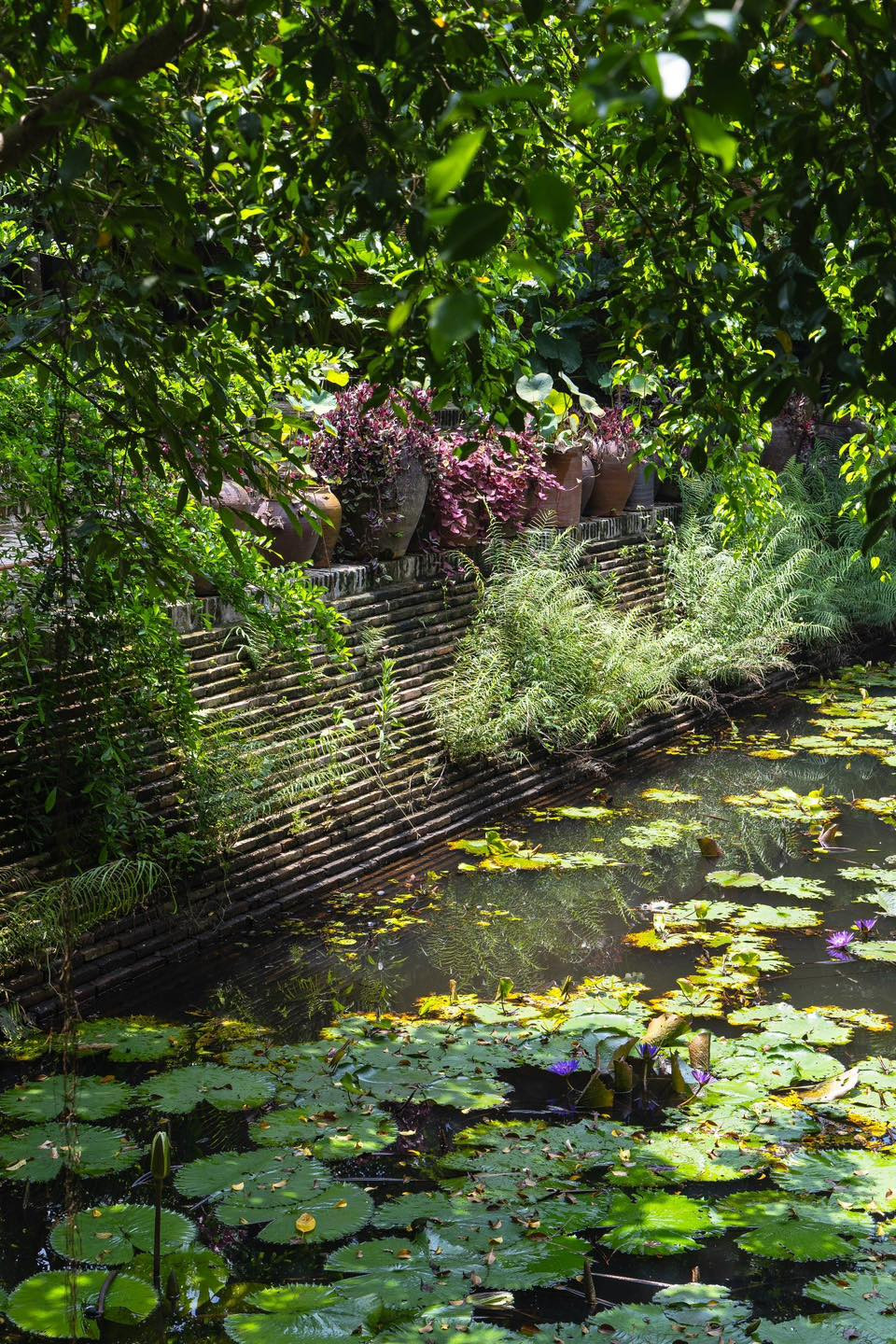 Bên cạnh đó, sân vườn của "vua hài đất Bắc" còn có ao cá, vườn rau.