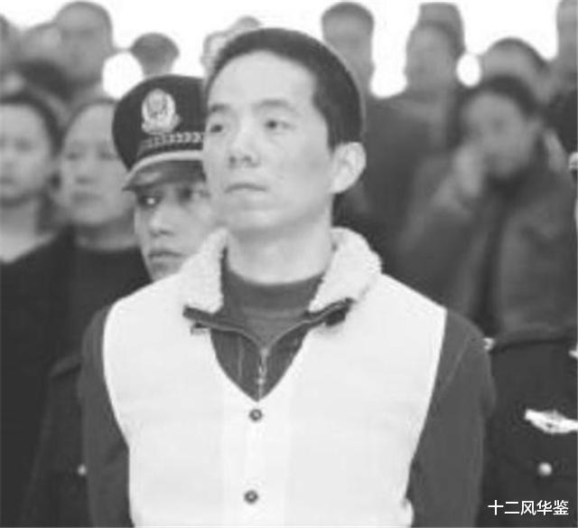 Năm 2007, Chu Chính Nghị bị bắt một lần nữa vì tội hối lộ và thuế giá trị gia tăng giả, bị kết án 16 năm tù. Trong cái rủi lại có cái may, nhờ ở tù thời gian dài mà ông tránh được cuộc khủng hoảng tài chính năm 2008. Tài sản của ông bị phong toả nên vẫn còn nguyên vẹn.