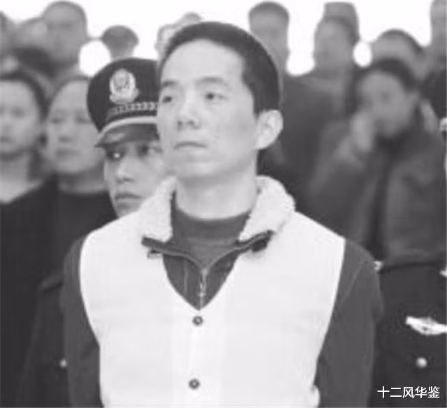 Năm 2007, Chu Chính Nghị bị bắt một lần nữa vì tội hối lộ và thuế giá trị gia tăng giả, bị kết án 16 năm tù. Trong cái rủi lại có cái may, nhờ ở tù thời gian dài mà ông tránh được cuộc khủng hoảng tài chính năm 2008. Tài sản của ông bị phong toả nên vẫn còn nguyên vẹn.