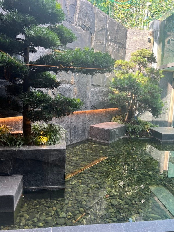 Trong khuôn viên dinh thự ngập tràn hơi thở thiên nhiên, có cây, có nước hữu tình...