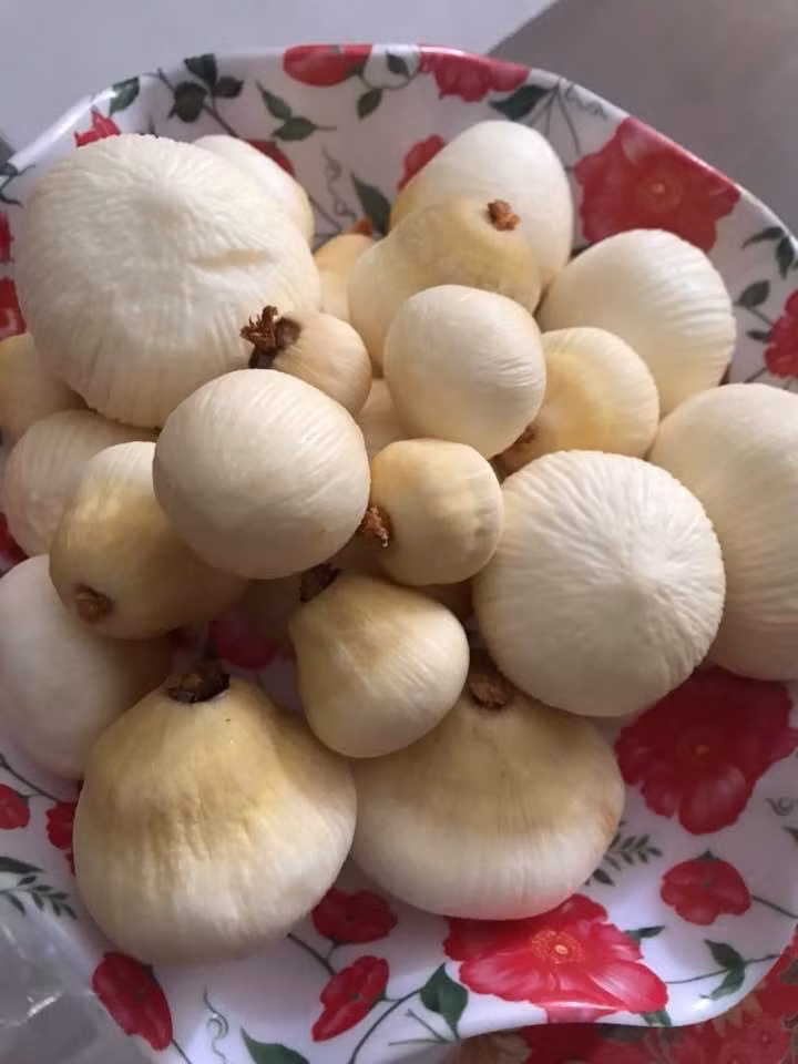 Những năm gần đây, nhiều người bất ngờ khi thức quà vặt dân dã này bỗng thành đặc sản nổi tiếng bày bán khắp nơi. Ảnh: Facebook